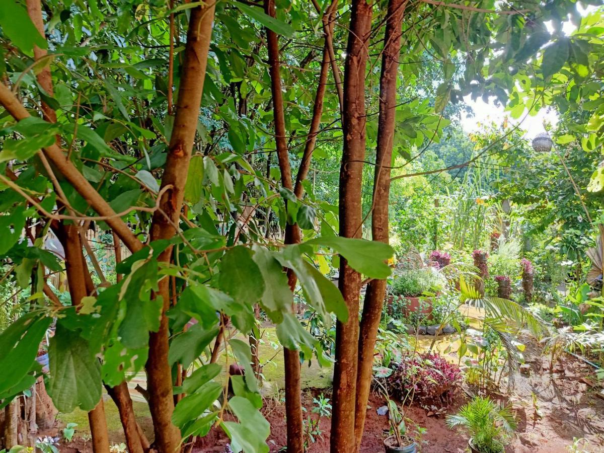 Tribal Village Homestay & Trekking Banlung Exterior photo