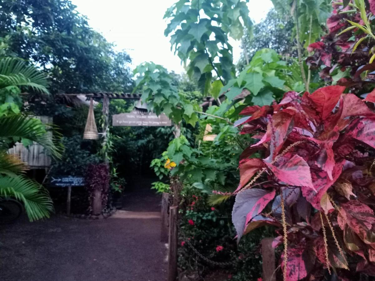 Tribal Village Homestay & Trekking Banlung Exterior photo