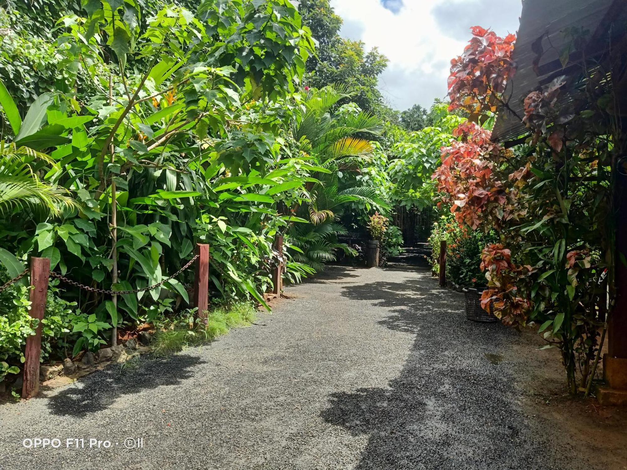 Tribal Village Homestay & Trekking Banlung Exterior photo