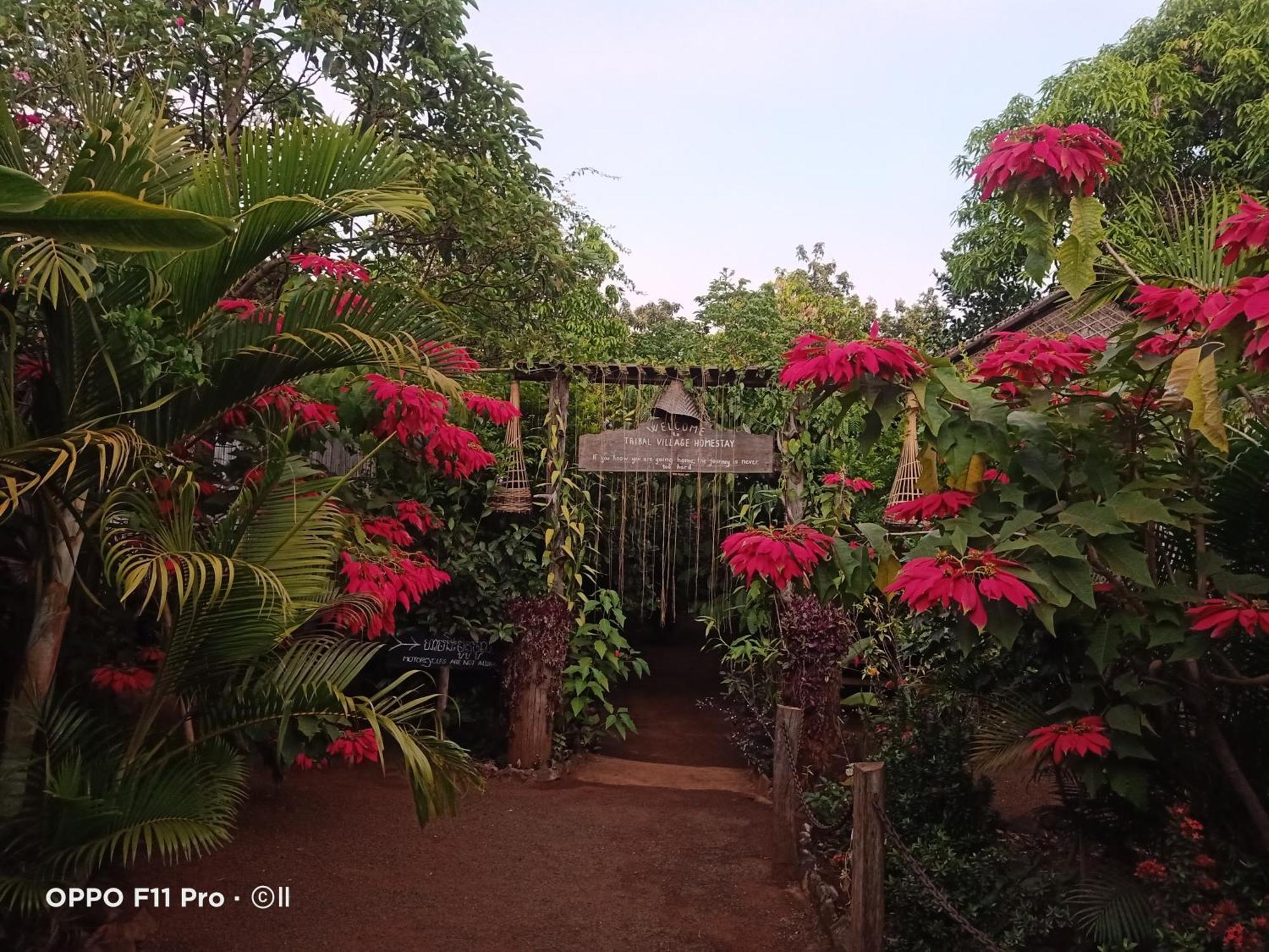 Tribal Village Homestay & Trekking Banlung Room photo